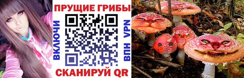 ОМГ ОМГ рабочий сайт  Горбатов  Псилоцибиновые грибы MAGIC MUSHROOMS 